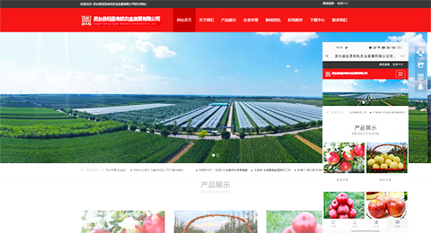 企業(yè)網(wǎng)站、程序軟件App解決方案